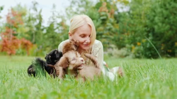 Jouez avec des petits chiots insouciants. Traitement des animaux — Video