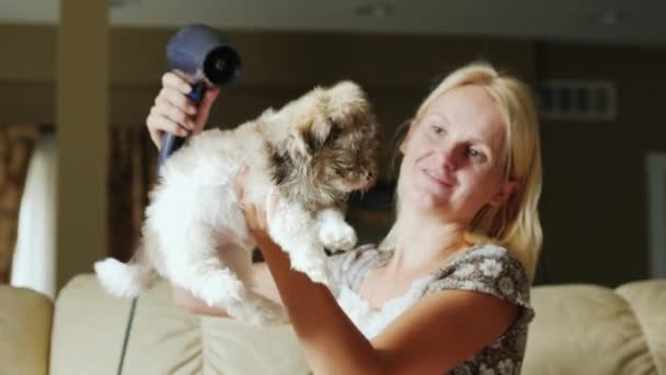 Mujer alegre seca su cabello con un cachorro marrón — Vídeos de Stock