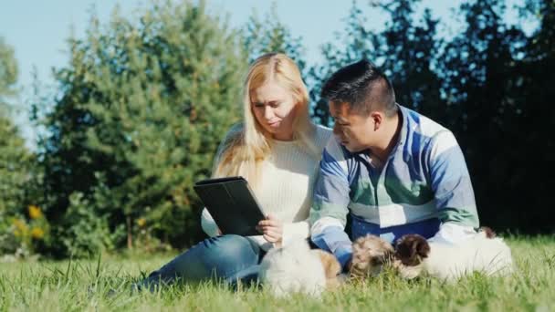 Pareja joven trabajando con la tableta en su patio trasero. Siguiente carrera cachorros — Vídeos de Stock