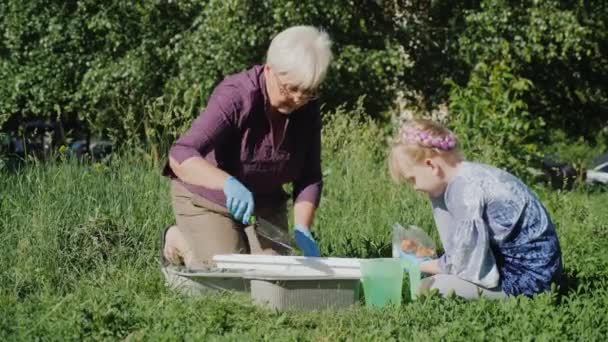 Großmutter und Enkelin legten gemeinsam Blumen auf dem Hof nieder. Konzept für aktive Senioren — Stockvideo