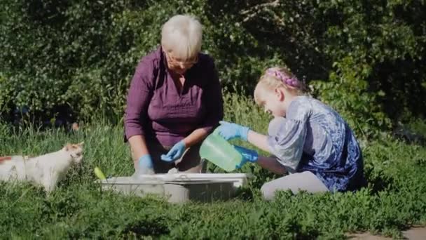 Бабушка с внучкой положили цветы в горшки, девочка поливала землю. Поблизости ходит кошка — стоковое видео