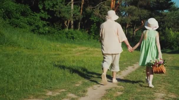 La abuela está caminando con su nieta en el bosque. Tomada de la mano, la niña lleva una cesta con flores silvestres. Personas mayores activas, vídeo retrovisor — Vídeos de Stock