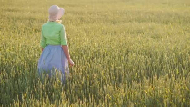 Farmář žena obdivuje nekonečné pole zelené pšenice. Koncept ekologického zemědělství — Stock video