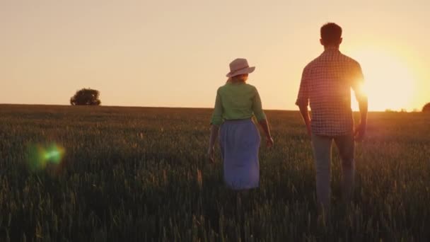 Due giovani contadini stanno camminando lungo il campo di grano al tramonto. Concetto di agricoltore biologico — Video Stock