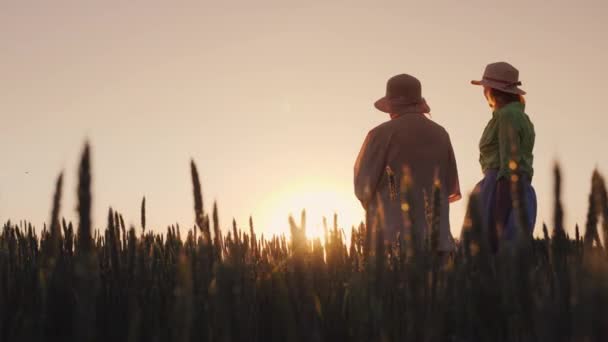 Mamá y su hija adulta están mirando al horizonte donde se pone el sol. Dos generaciones de concepto — Vídeo de stock