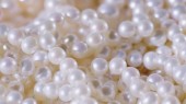 Close-up shot: šperky pozadí. Náhrdelník z reálnou možnost volby bílých perel