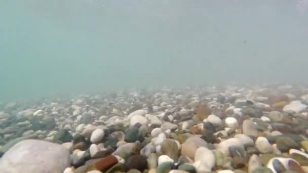 Las olas de surf mueven el guijarro a lo largo de la parte inferior, un video submarino. Elemento Concepto de Poder — Vídeo de stock