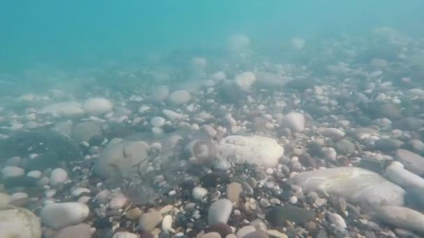 浅瀬で波の波は、ペットボトル水の下で振る。プラスチックによる海洋汚染 — ストック動画