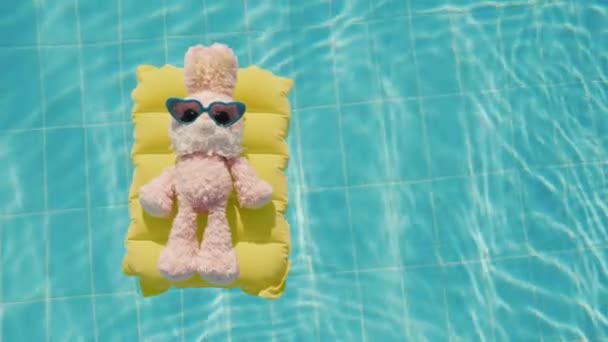 Un conejo fresco en gafas de sol brilla sobre un colchón inflable. Flota en la piscina. Vacaciones con niños — Vídeos de Stock