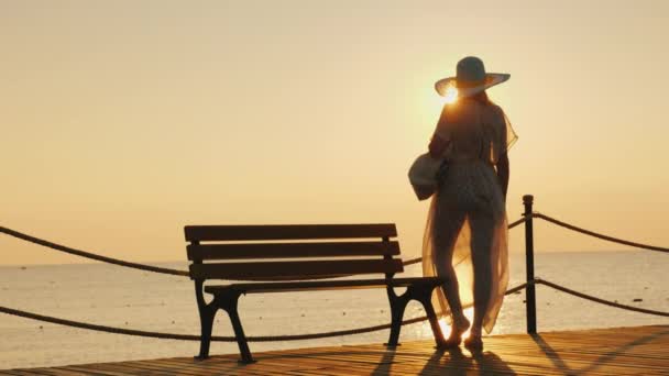 Una silueta solitaria de una joven esbelta en el desarrollo de la ropa y un sombrero con estilo en un muelle de mar cerca de un banco de madera . — Vídeos de Stock