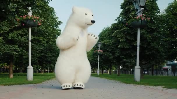 Divertido enorme oso blanco bailando en el parque — Vídeo de stock