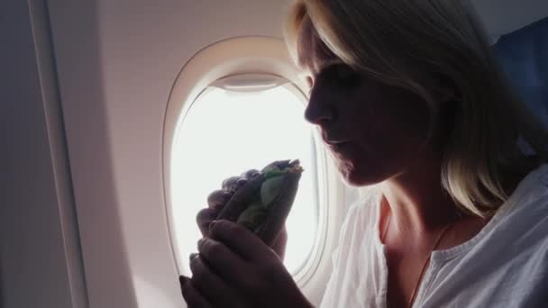 Een vrouw eet een broodje in de passagierscabine met eetlust. Snack in de reis, de service aan boord — Stockvideo