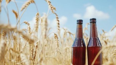 İki şişe buğday alan ve mavi gökyüzü arka plan üzerinde serin bira. Doğal ürün kavramı