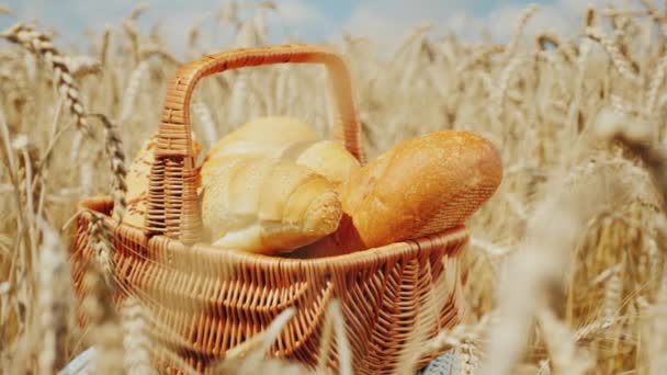 Cesta con pan y panecillos en el campo de trigo amarillo maduro. Buena cosecha y concepto de productos orgánicos frescos — Vídeo de stock