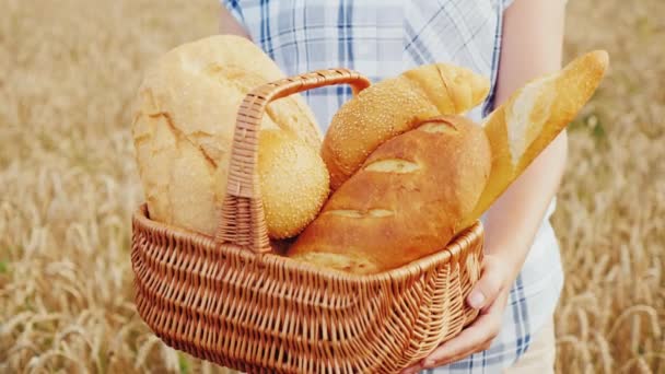 Young woman farmer with a basket of bread products. It stands against the background of the wheat field — Stock Video