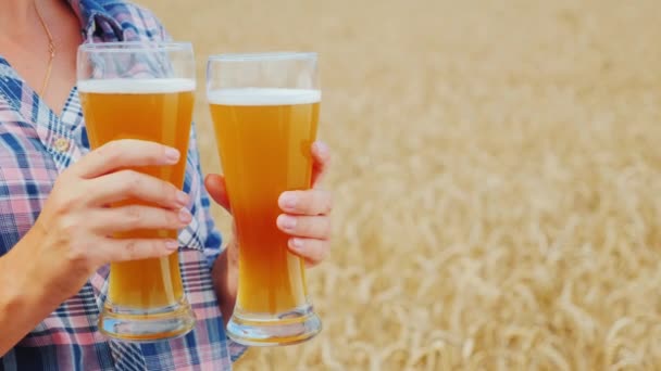 A woman holds two glasses of cool seductive beer against the background of a field of yellow wheat — Stock Video