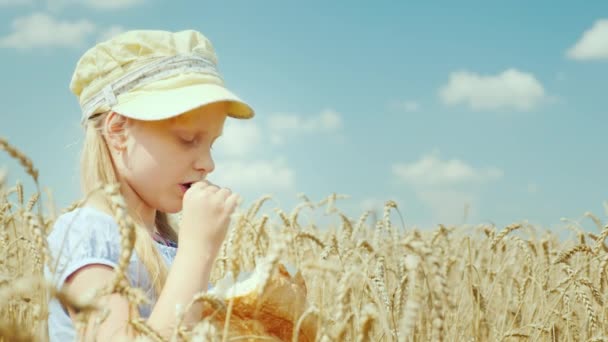 Una niña come pan en el campo de trigo. Concepto de paz y prosperidad — Vídeos de Stock