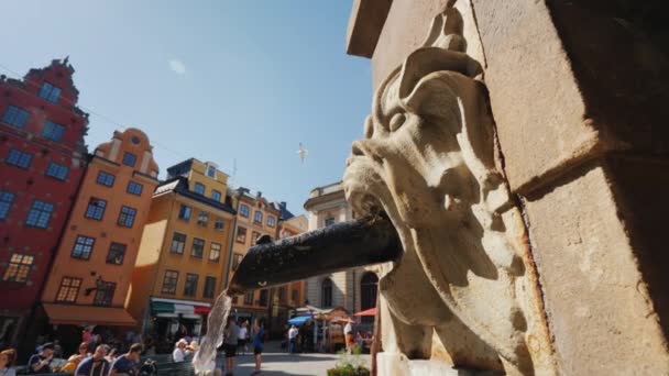 Stockholm, Sverige, juli 2018: Vand strømmer fra et springvand formet som et løvehoved. Rent drikkevand på torvet i den gamle bydel i Stockholm, popyate hvilested – Stock-video