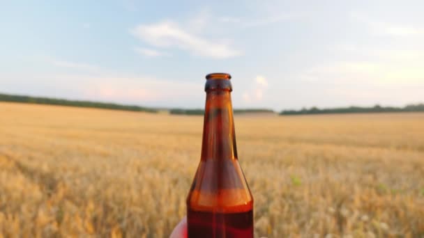 View from the first person - to go with a bottle of beer on the field of yellow wheat. Fresh beer, mens dreams concept — Stock Video