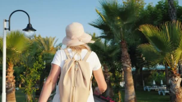 Une touriste avec un sac à dos rose derrière son dos se promène le long de l'avenue des palmiers. Repos et nouvelles impressions du concept — Video