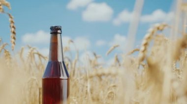 Bir şişe buğday alan ve mavi gökyüzü arka plan üzerinde serin bira. Doğal ürün kavramı
