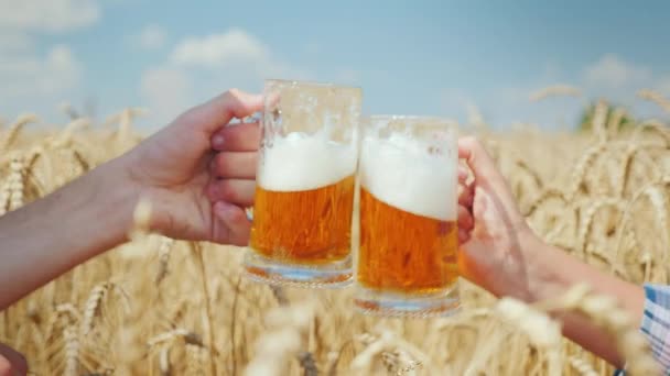 Los agricultores duplican la conclusión exitosa del acuerdo y beben cerveza en un campo de trigo de tazas — Vídeos de Stock