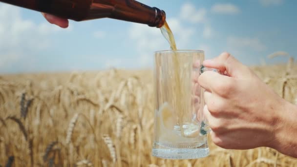 Ρίξτε μια δροσερή μπίρα σε μια κούπα στο πεδίο των ώριμων χρυσό σιτάρι. Να σβήνω δίψα και έννοια βιολογικό οργανικό προϊόν σας — Αρχείο Βίντεο