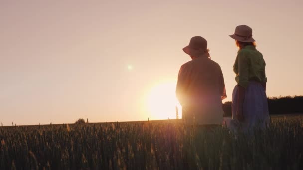 两个女人-母亲和女儿看着美丽的夕阳在麦田。两代概念 — 图库视频影像