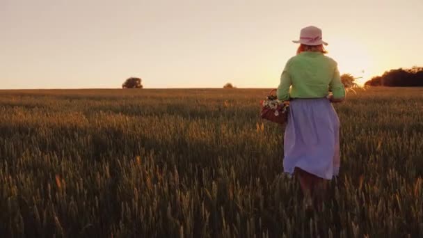 Donna con un cappello con un mazzo di fiori selvatici che passeggiano per il campo al tramonto. Vista posteriore — Video Stock