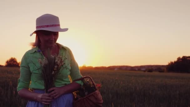 Jovem com buquê de flores silvestres caminhando no campo ao pôr do sol — Vídeo de Stock