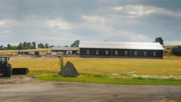 De diepten van Noorwegen zijn velden en boerderijen. Mooi uitzicht vanuit het raam van de rijdende auto... Ecologisch schoon gebied — Stockvideo