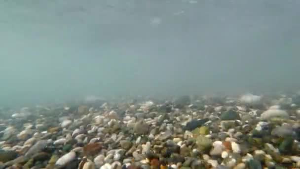 Le surf de la mer tire des cailloux dans différentes directions. La vidéo a été tournée sous l'eau — Video