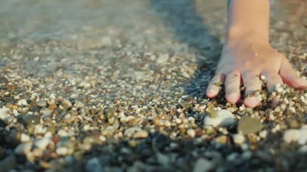 Uma mão de mulher está à procura de algo em seixos rasos na borda do mar — Vídeo de Stock