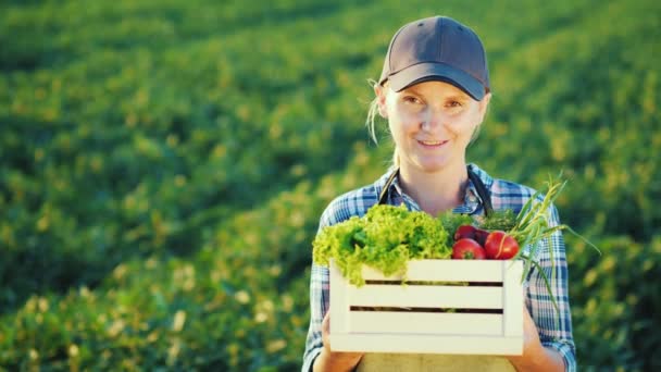 Портрет женщины-фермера, стоящей в поле, держащей коробку со свежими овощами. Органическая сельскохозяйственная концепция — стоковое видео