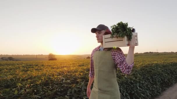 Mladý samec vesničana podél pole s krabicí čerstvé zeleniny. — Stock video