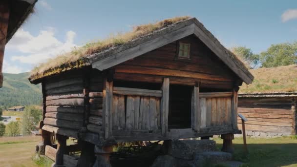 Ancient Norwegian house with moss on the roof — Stock Video