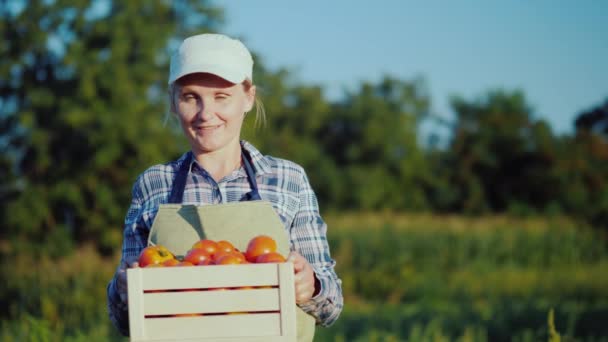 Retrato de una mujer agricultora con una caja de tomates. Concepto de verduras frescas — Vídeo de stock