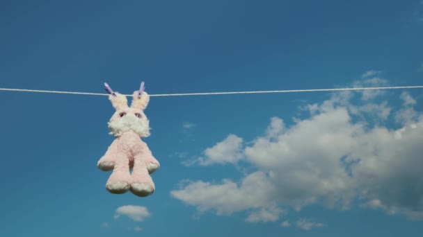 Плюшевый кролик, висящий на веревке, высушенный на солнце — стоковое видео