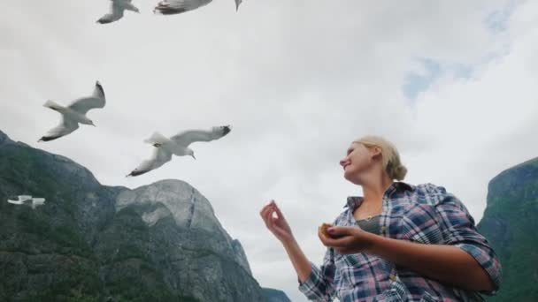 Una mujer está alimentando gaviotas, un crucero en los fiordos en Noruega. Entretenimiento popular para turistas — Vídeo de stock