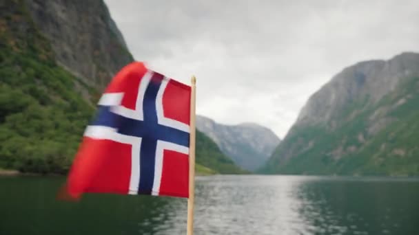 La bandiera norvegese sventola nel vento sullo sfondo di un maestoso fiordo. Crociera sui fiordi della Norvegia — Video Stock