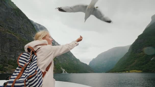 Una donna sta dando da mangiare a un gabbiano che vola. Fidati e doma il concetto. Viaggio attraverso i fiordi della Norvegia — Video Stock