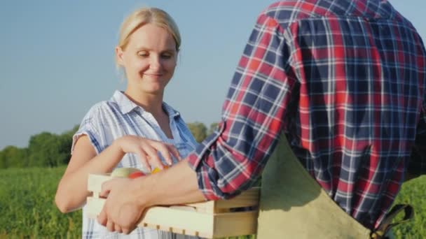 Женщина берет коробку овощей из рук фермеров. Свежие овощи прямо с поля — стоковое видео