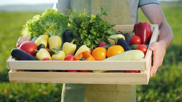 Uomo agricoltore che tiene una scatola con una serie di verdure autunnali — Foto Stock