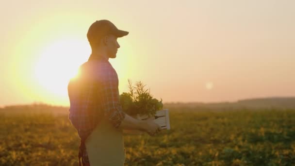 Un joven agricultor lleva una caja con verduras y especias. Va por su campo — Vídeos de Stock