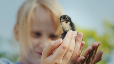 Kız bir hatun onun elinde tutuyor. Video ile sığ derinlik-in tarla