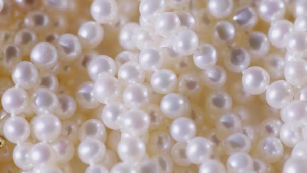 精致天然珍珠 — 图库视频影像