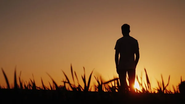 Mladý muž stojí v jednom poli a se dívá na západ slunce — Stock fotografie