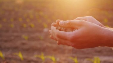 Bir çiftçi verimli toprak ile elleri. Organik tarım kavramı