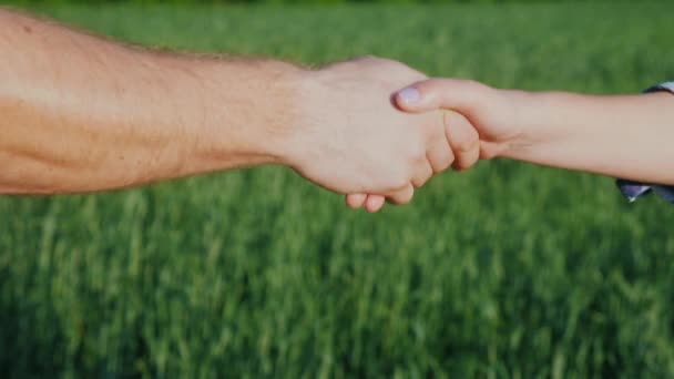 Un granjero le da la mano a una mujer. En el contexto de un campo de trigo verde — Vídeos de Stock