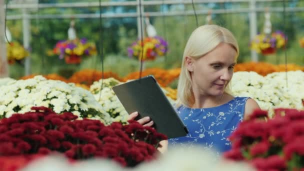 En kvinnlig säljare arbetar i en plantskola med blommor. Räknar med en surfplatta — Stockvideo